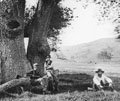 Santa Clara Valley 1868