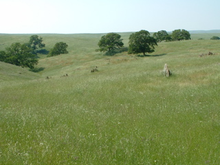 john muir walk