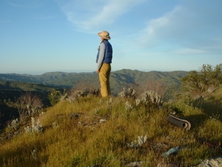 john muir walk